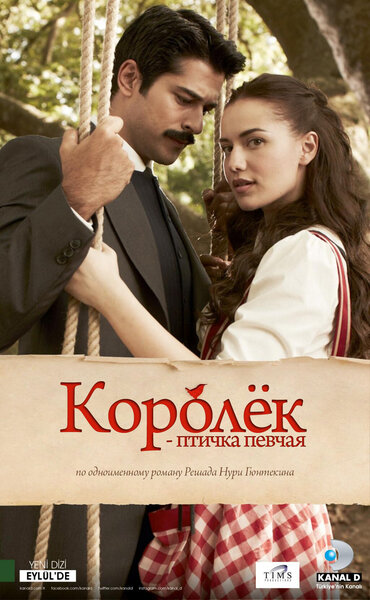 Постер «Королёк - птичка певчая» (2013)