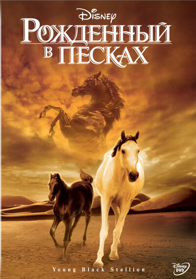 Постер «Рожденный в песках» (2003)