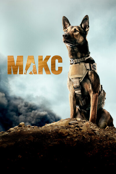Постер «Макс» (2015)