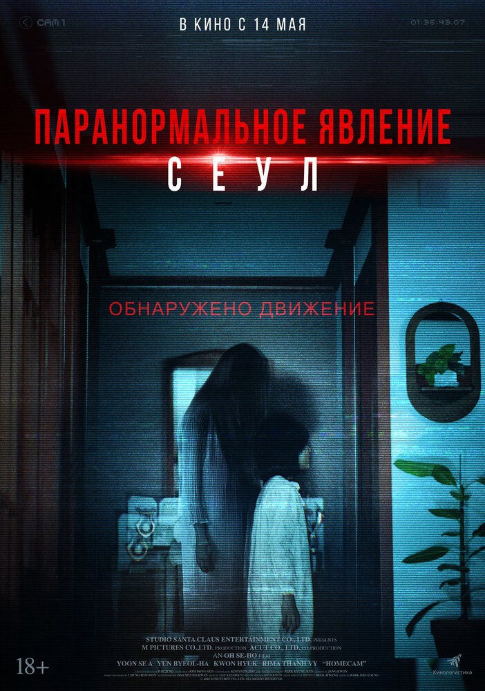 Постер: Домашняя камера (2025)