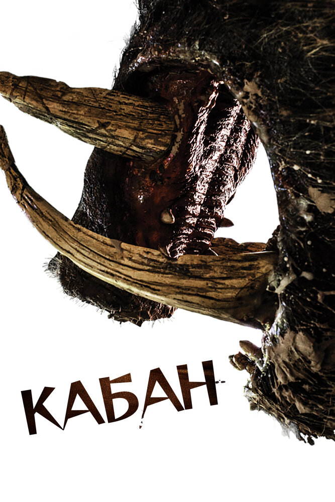 Постер: Кабан (2017)