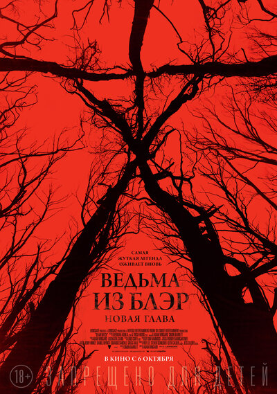 Постер «Ведьма из Блэр: Новая глава» (2016)