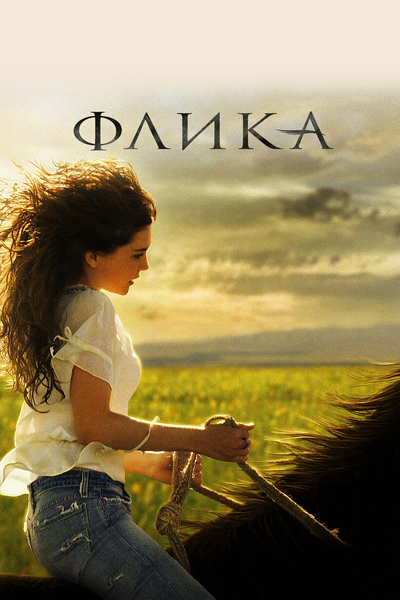 Постер «Флика» (2006)