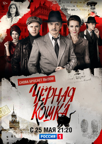 Постер «Черная кошка» (2016)