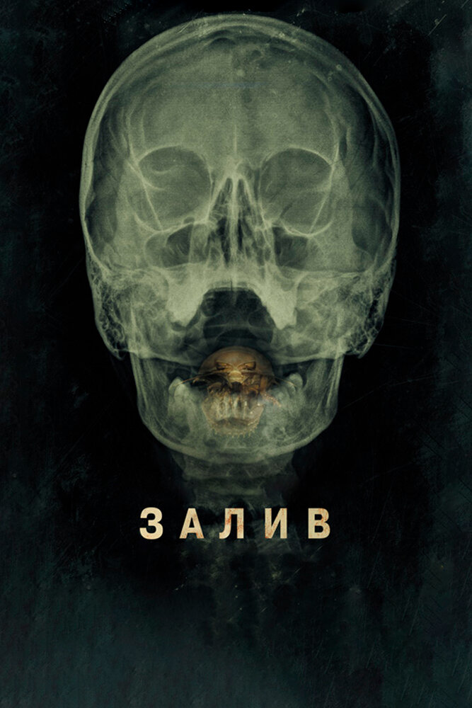 Постер «Залив» (2012)