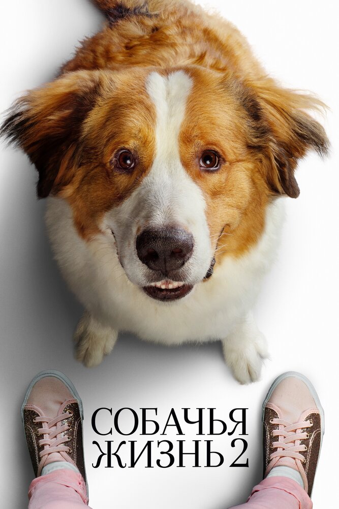 Постер «Собачья жизнь 2» (2019)