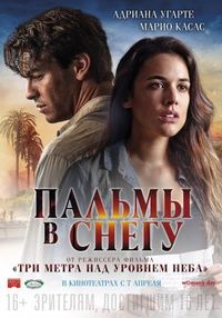 Постер «Пальмы в снегу» (2015)
