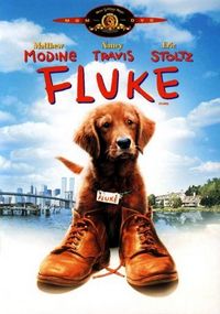 Постер «Флюк» (1995)