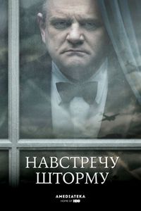 Постер «Навстречу шторму» (2009)