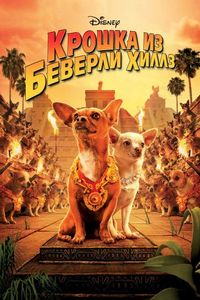 Постер «Крошка из Беверли-Хиллз» (2008)