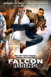 Постер «Восхождение Сокола» (2014)