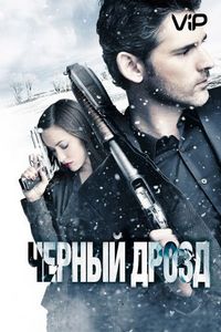 Постер «Черный дрозд» (2011)