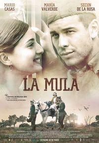 Постер «Мул» (2013)