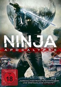 Постер «Ниндзя апокалипсиса» (2014)