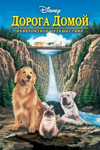 Постер «Дорога домой: Невероятное путешествие» (1993)