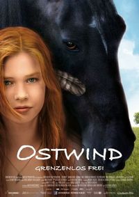 Постер «Восточный ветер» (2013)