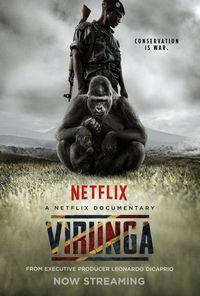 Постер «Вирунга» (2014)