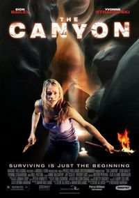Постер: Каньон (2009)