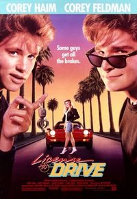 Постер «Водительские права» (1988)