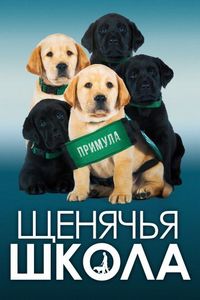 Постер «Щенячья школа» (2018)