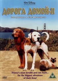 Постер «Дорога домой 2: Затерянные в Сан-Франциско» (1996)