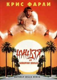 Постер «Ниндзя из Беверли Хиллз» (1997)