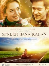 Постер «Всё, что мне осталось от тебя» (2015)