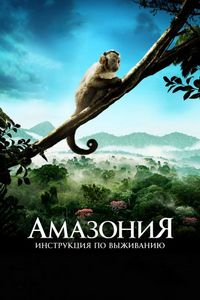 Постер «Амазония: Инструкция по выживанию» (2013)