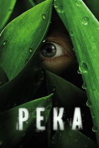 Постер «Река» (2012)