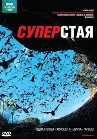 Постер «BBC: Суперстая» (2009)