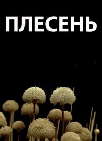 Постер «Плесень» (2009)