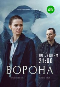 Постер «Ворона» (2018)
