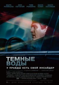 Постер: Темные воды (2019)
