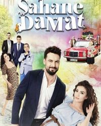Постер «Замечательный зять» (2016)