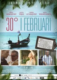 Постер «30 градусов в феврале» (2012)