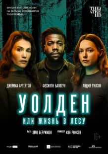 Постер «Уолден, или Жизнь в лесу» (2021)