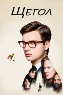 Постер: Щегол (2019)