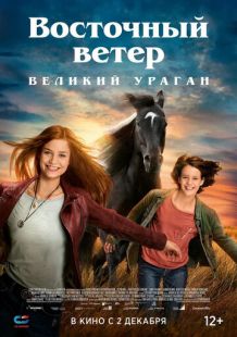 Постер «Восточный ветер. Великий ураган» (2021)