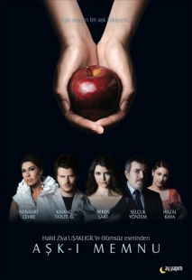 Постер «Запретная любовь» (2008)