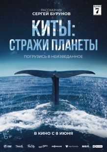 Постер «Киты: Стражи планеты» (2023)