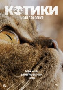 Постер «Котики» (2022)