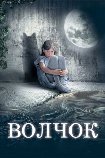 Постер «Волчок» (2009)