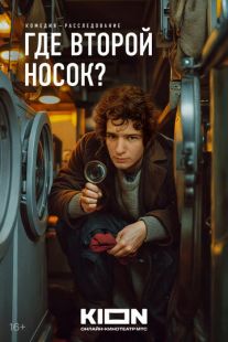 Постер «Где второй носок?» (2024)