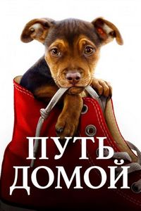 Постер «Путь домой» (2019)